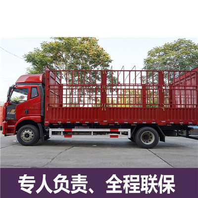 肇慶到澳門花地瑪堂區(qū)物流專線-肇慶到澳門花地瑪堂區(qū)貨運公司